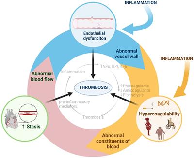 Editorial: Inflammation, the link between venous and arterial thrombosis